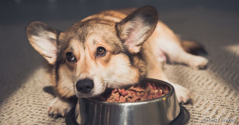 Dicas Caseiras: Soluções Naturais e Seguras Para o Alívio Imediato - inspiração 2