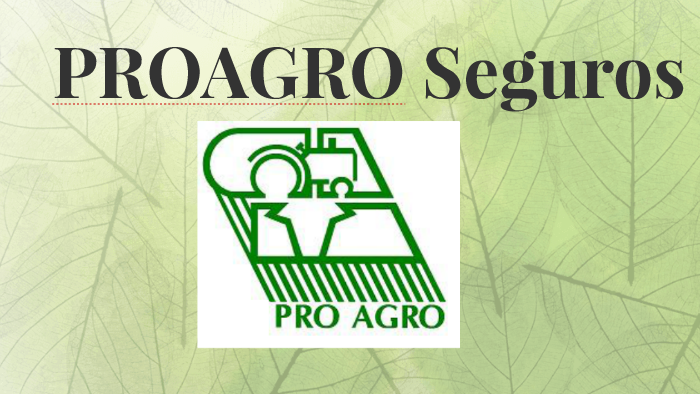 Passo a passo para formalizar seu pedido - inspiração 2