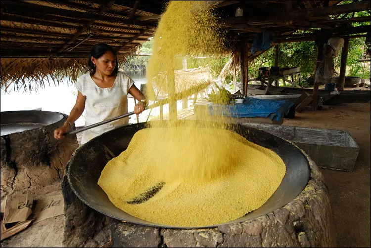 Artesanal ou Industrial: Escolhendo o Seu Caminho