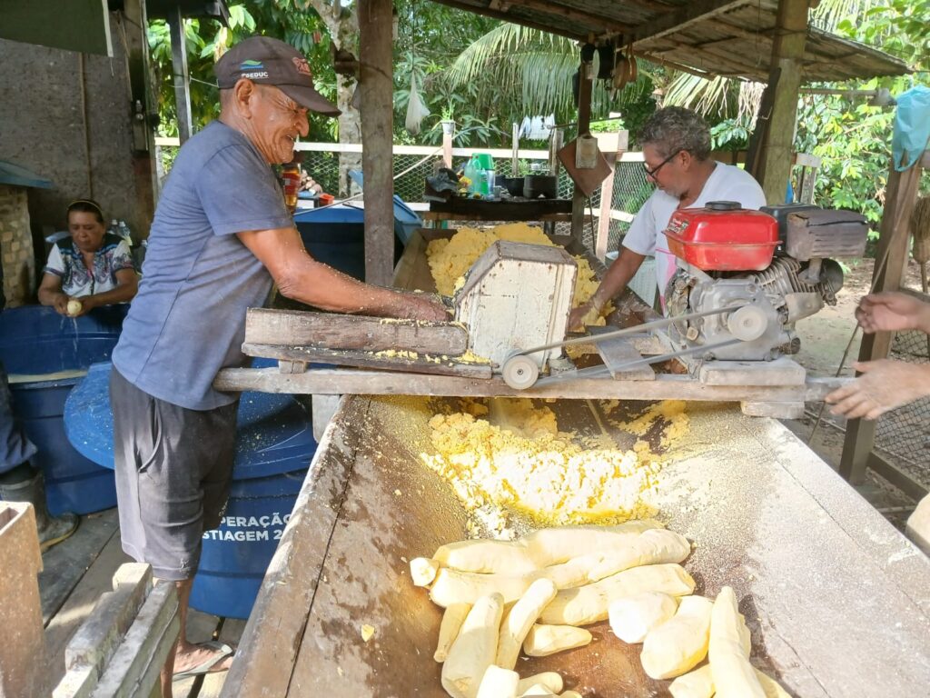 Custos e Rendimento: O Lado Financeiro da Mandioca