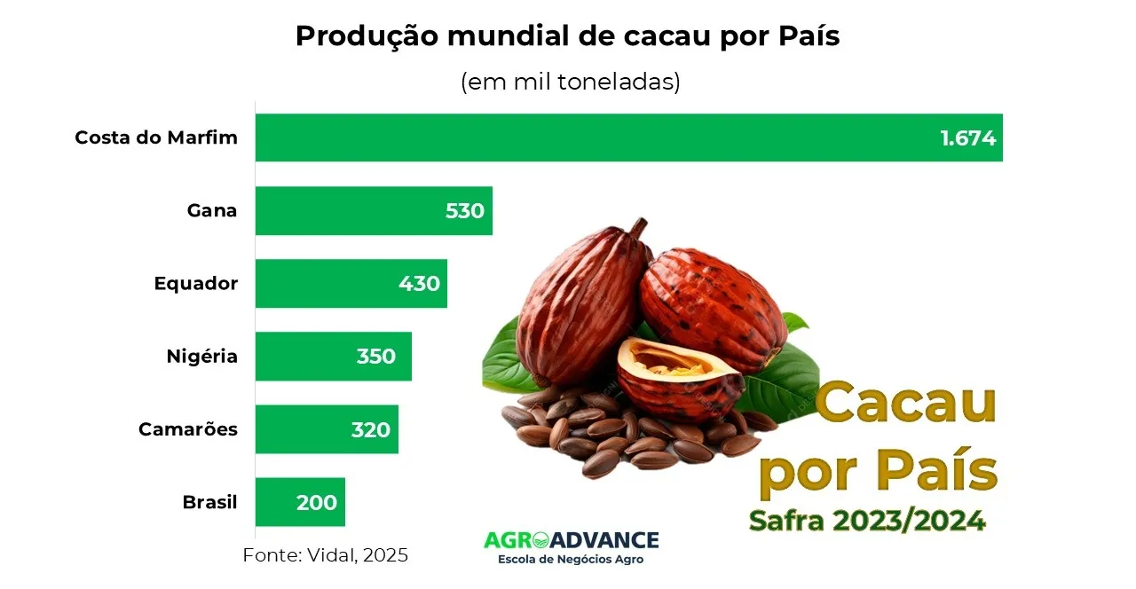A Importância da Polinização para a Frutificação - inspiração 1