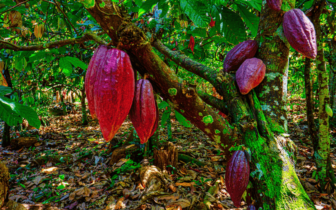 A Importância da Polinização para a Frutificação - inspiração 2