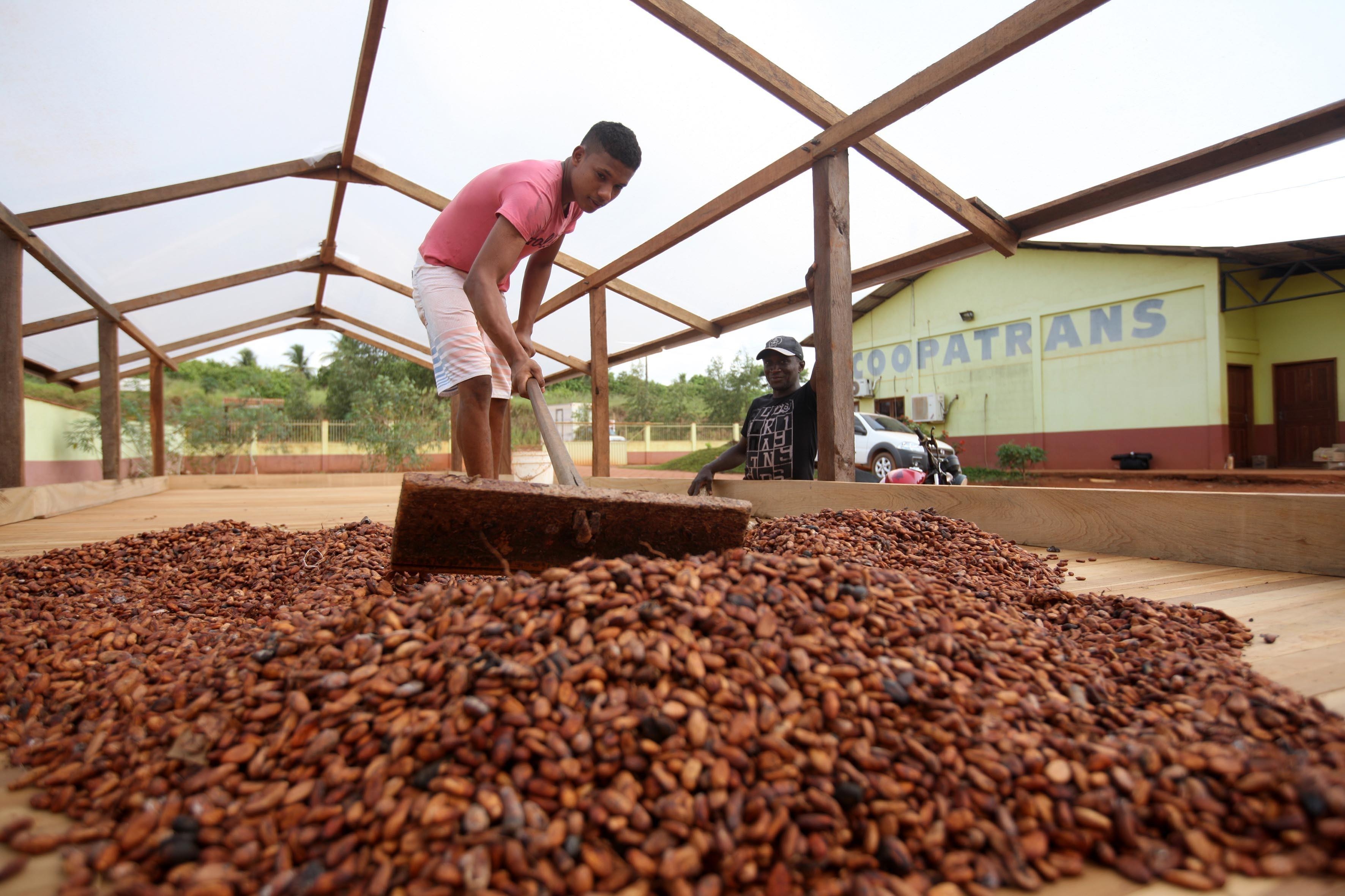 O Processo de Fermentação: Transformando o Sabor - inspiração 2
