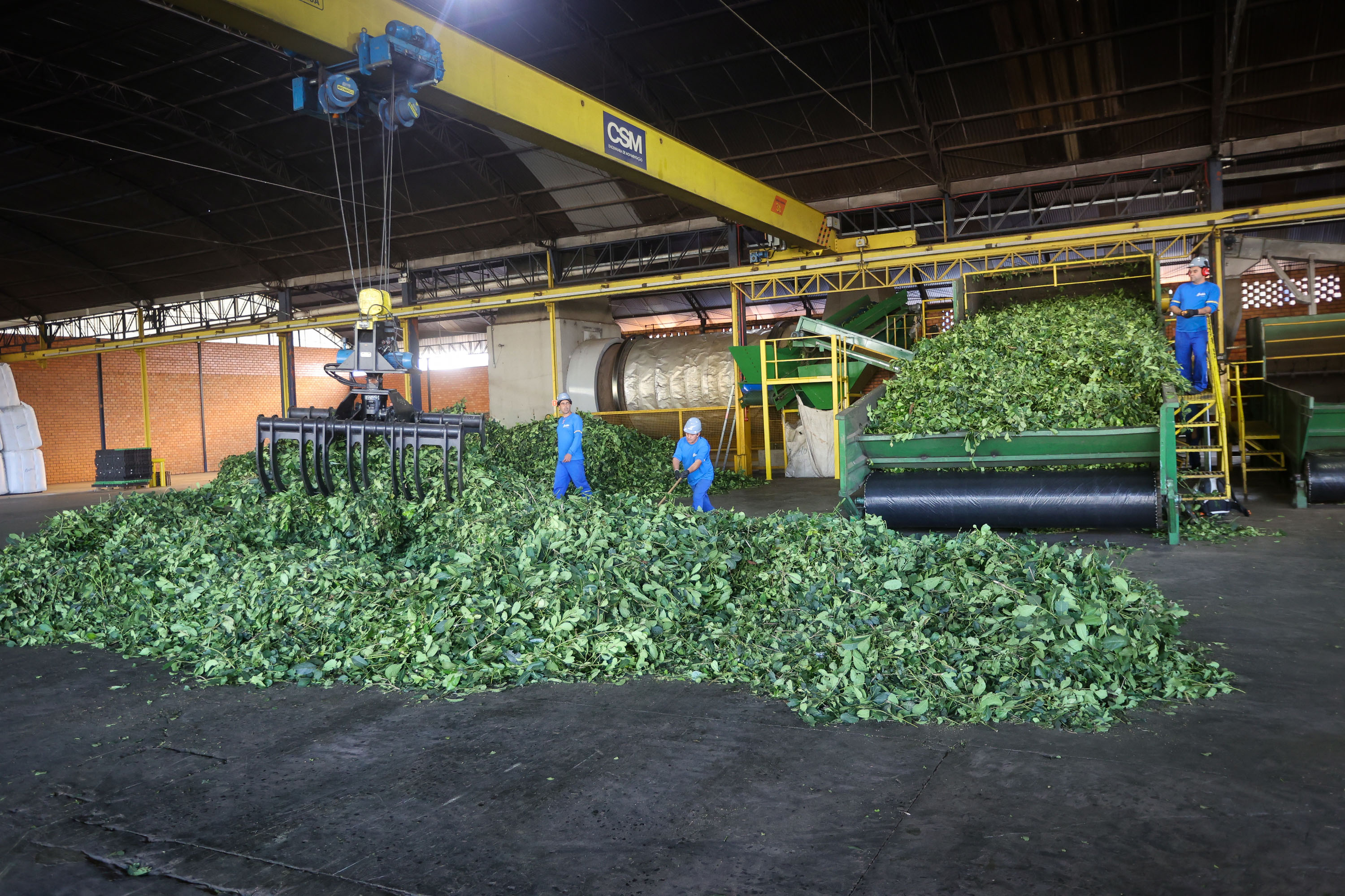 Dicas Extras para um Sabor Inesquecível - inspiração 2