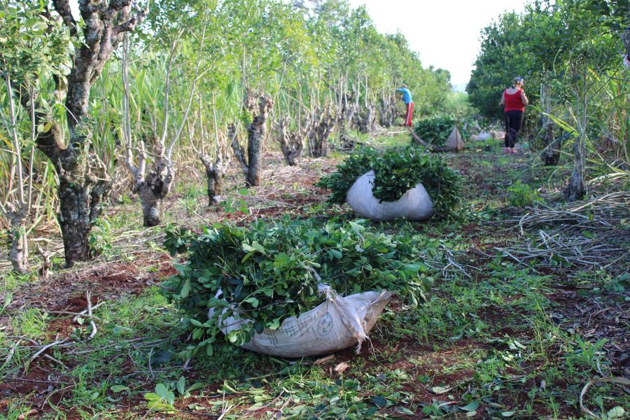 A Bomba Perfeita: Como Utilizar e Manter Limpa - inspiração 2