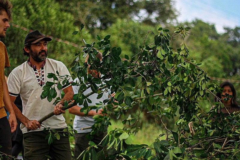A Arte de Servir: Servindo a Mate em Roda - inspiração 2