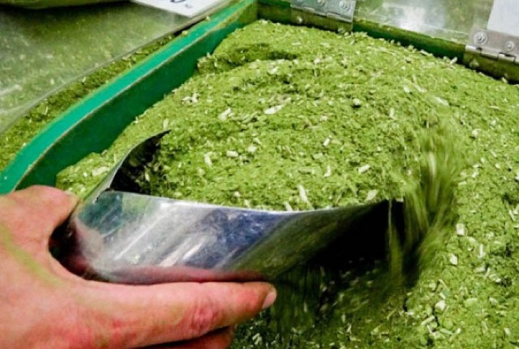 Erva Mate Gelada: Uma Opção Refrescante e Saudável - inspiração 2