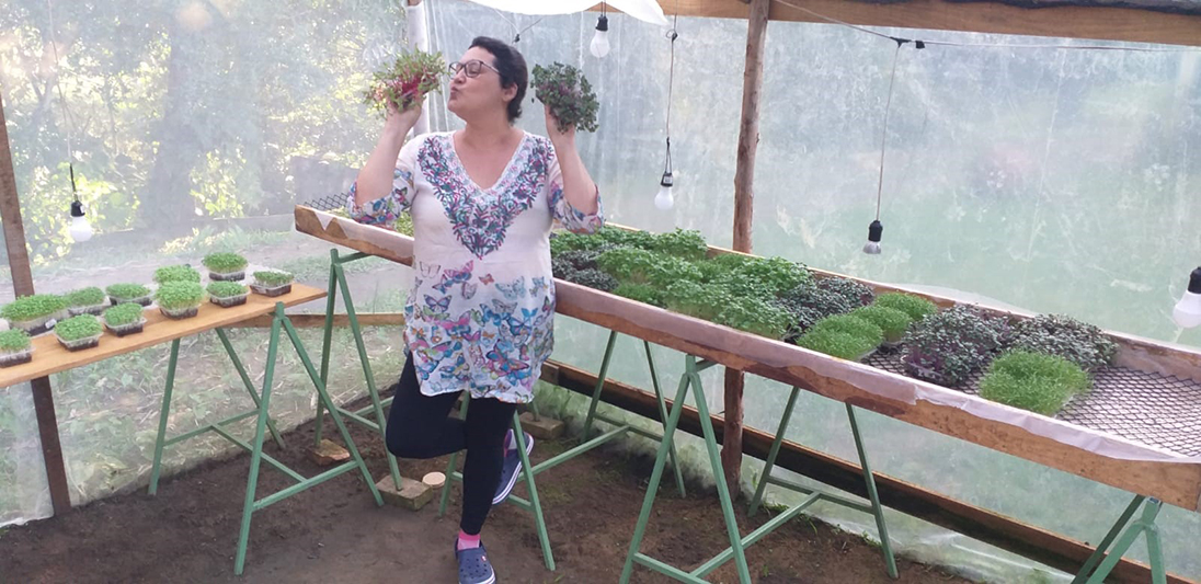 Dicas de profissional: como ter microverdes o ano todo - inspiração 1