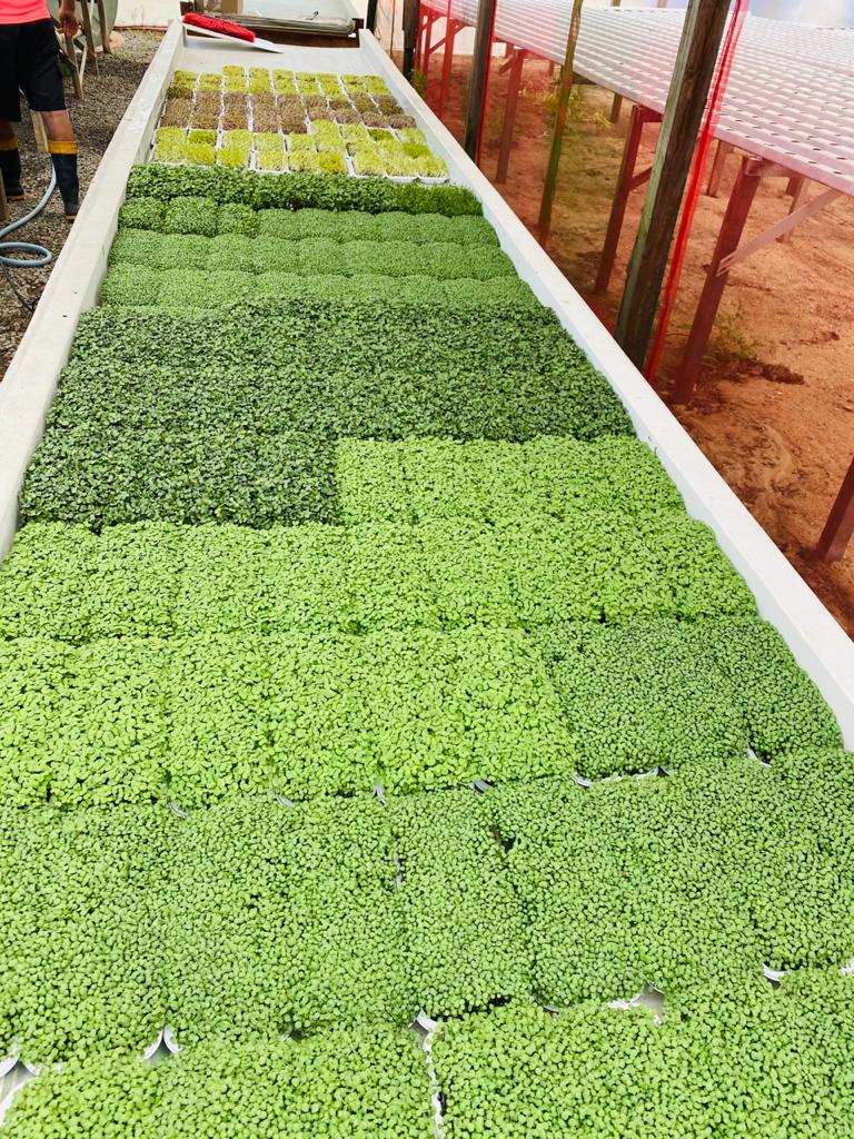 Começando do zero: os materiais que você realmente precisa - inspiração 1