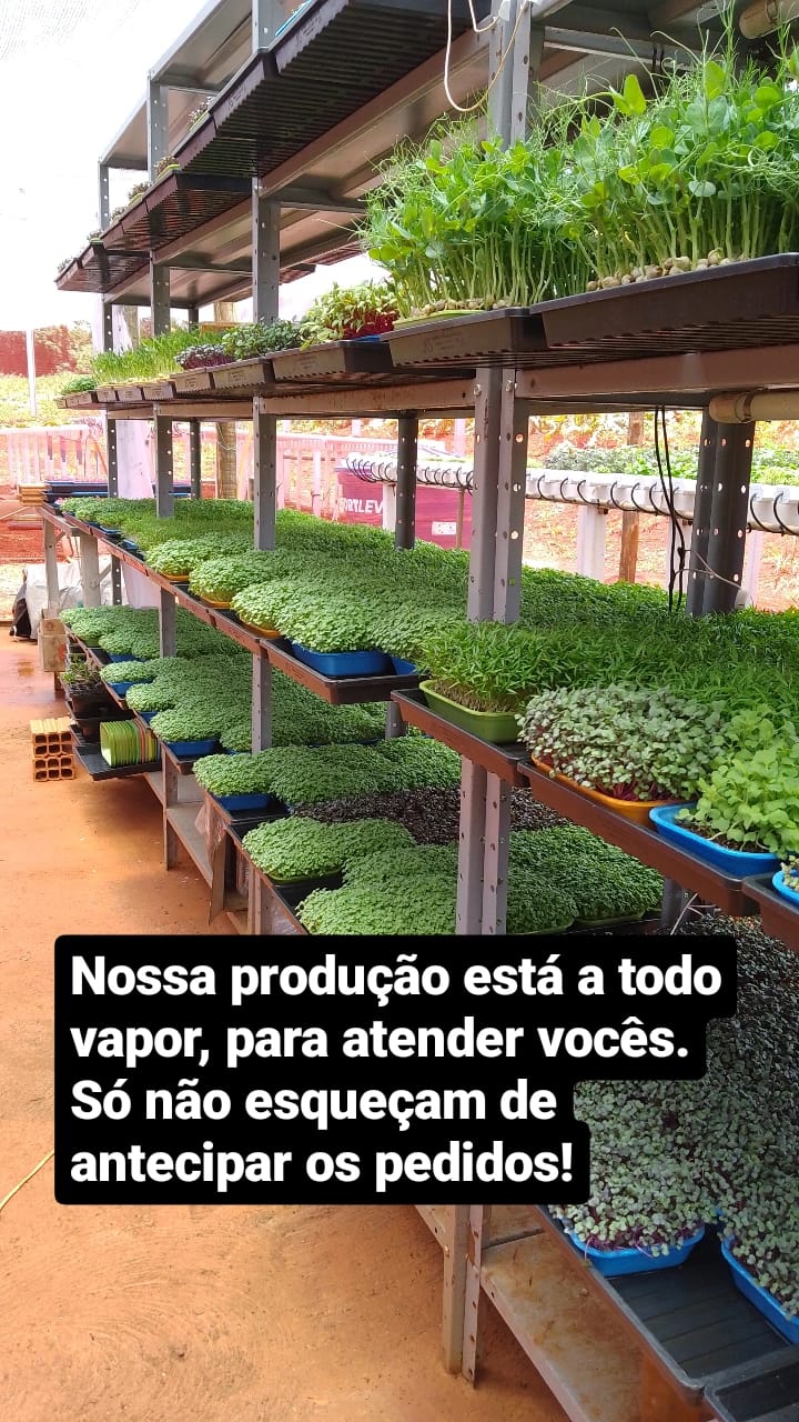 Solução de problemas comuns: o que fazer quando algo dá errado - inspiração 1