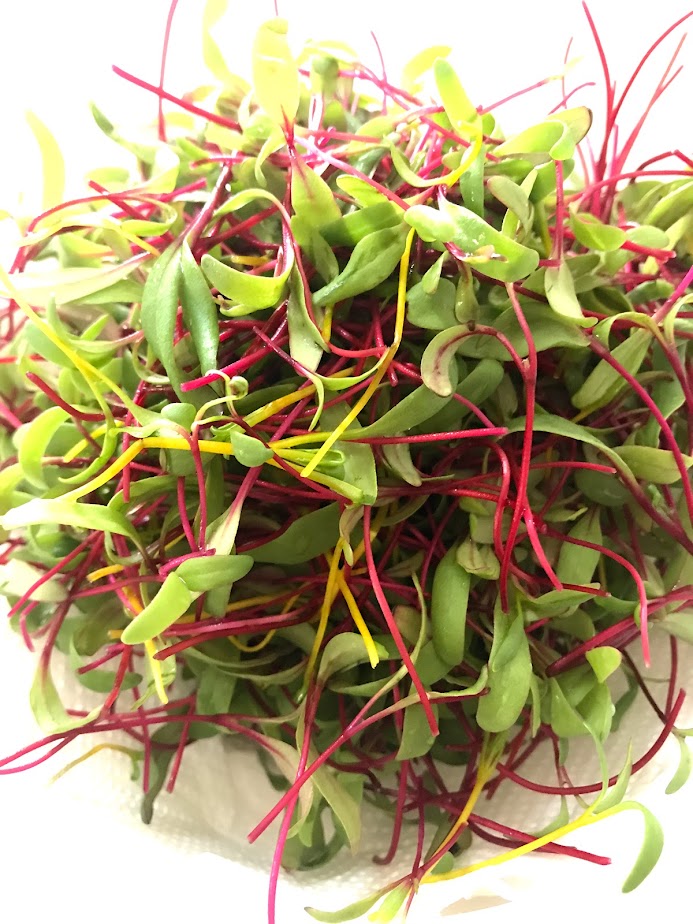 Solução de problemas comuns: o que fazer quando algo dá errado - inspiração 2