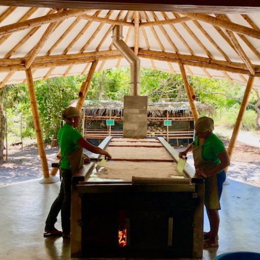 Armazenamento Ideal: Onde Guardar Seu Tesouro de Coco - inspiração 1