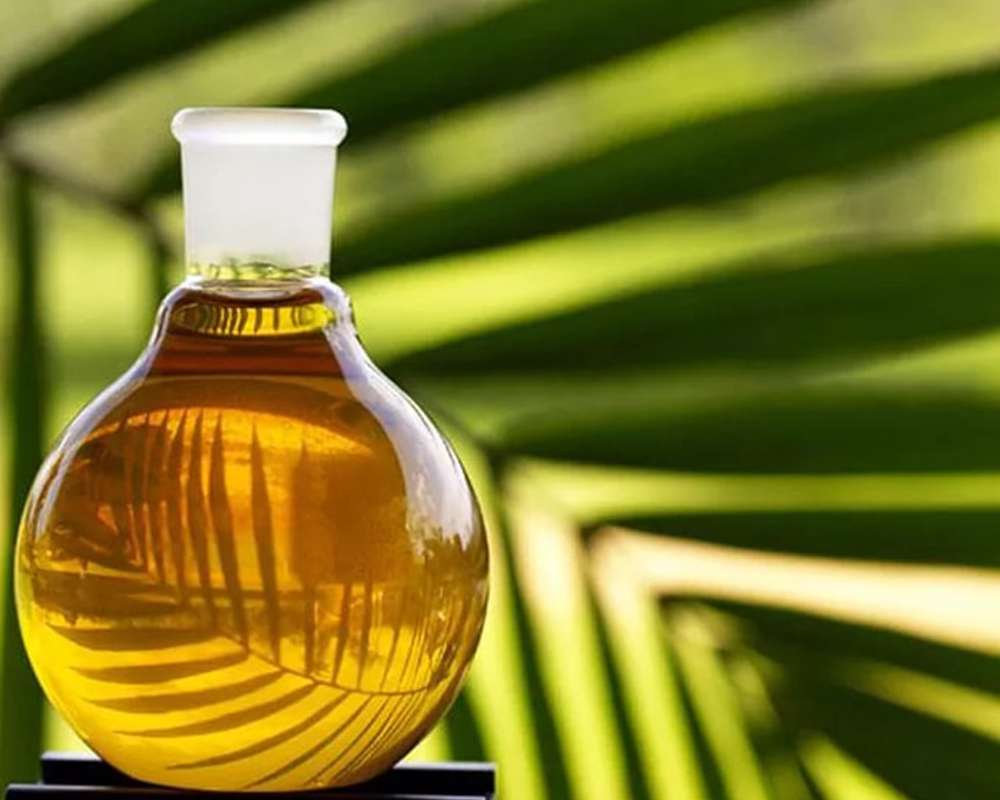 Dicas de Compra: Como Escolher o Melhor Óleo de Coco no Mercado - inspiração 2