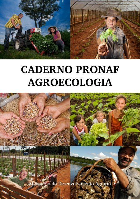 O que é o PRONAF Agroecologia e por que ele é essencial? - inspiração 1