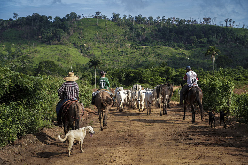 O que é o PRONAF Agroecologia e por que ele é essencial? - inspiração 2