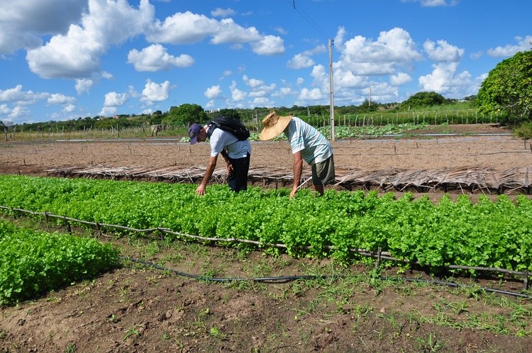 Quem pode participar do programa e quais os requisitos básicos? - inspiração 2