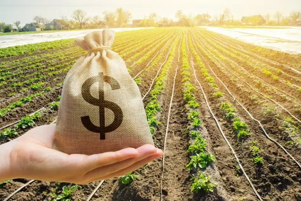 O que o crédito do PRONAF Agroecologia pode financiar? - inspiração 2