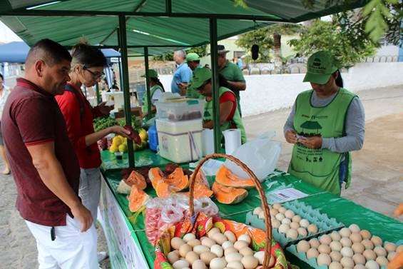 Capacitação e Assistência Técnica: O apoio que você merece - inspiração 1