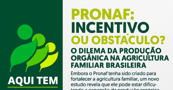 Superando desafios: Dicas de quem já trilhou o caminho - inspiração 2