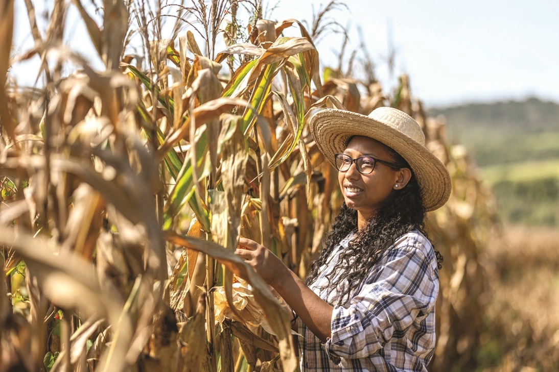 A Importância do Plano de Custeio Detalhado - inspiração 1