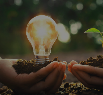 H2: O Que o Pronaf Eco Pode Financiar na Sua Propriedade? Desvende as Oportunidades!