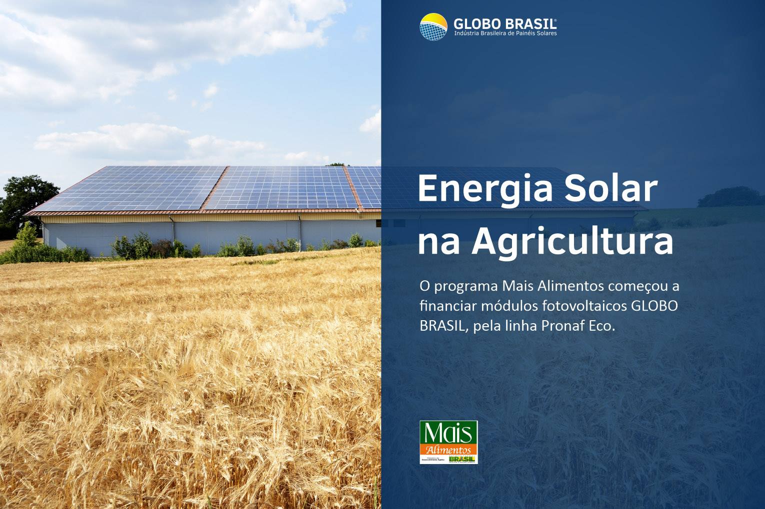 H2: Onde Buscar Seu Crédito: Bancos e Cooperativas Parceiras do Pronaf Eco