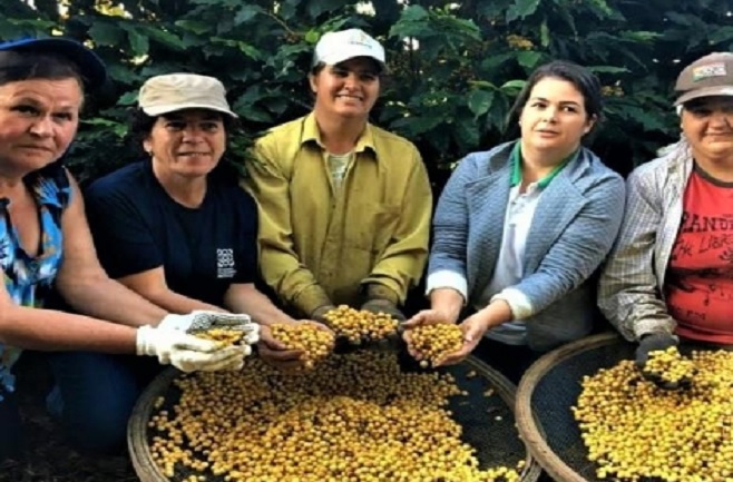 Histórias de Sucesso: Mulheres Transformando suas Vidas com o Pronaf - inspiração 2