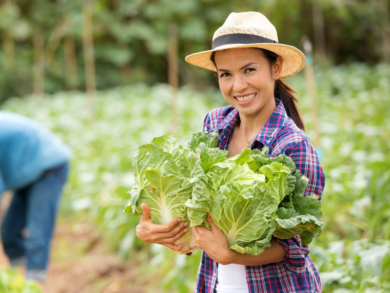 Como Funciona a Solicitação e Aprovação do Crédito - inspiração 1