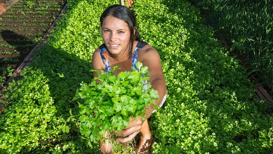 Garantias Exigidas: Opções e Alternativas para Você - inspiração 2