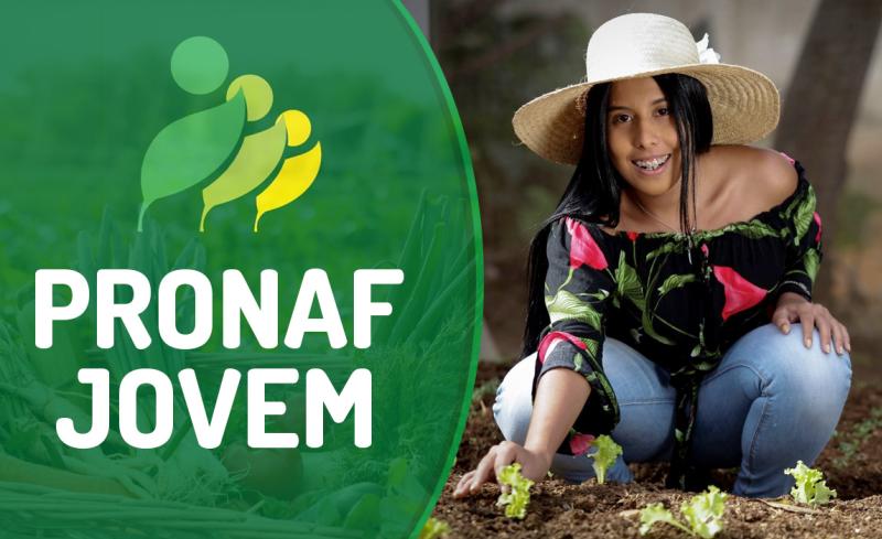 O Impacto do Pronaf Mulher no Empreendedorismo Feminino - inspiração 1