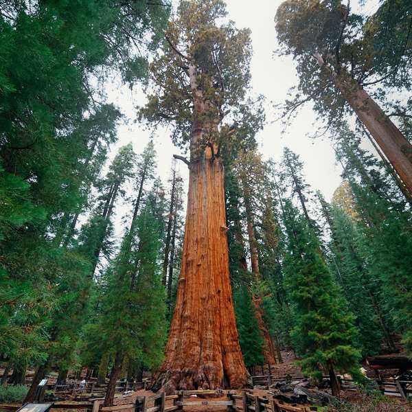 Proteção Contra Ventos Fortes: Estratégias para Segurança - inspiração 2