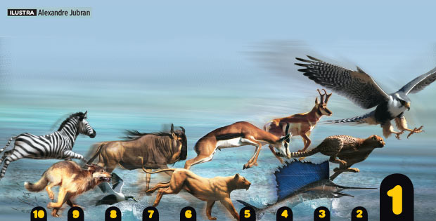 O Cavalo: Potência e Elegância em Movimento - inspiração 1