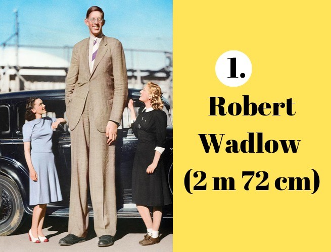 A Vida Pública e o Apelido de 'Gigante Gentil' - inspiração 1