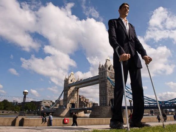 Recordes e Comparações: Quem Chegou Mais Perto? - inspiração 1