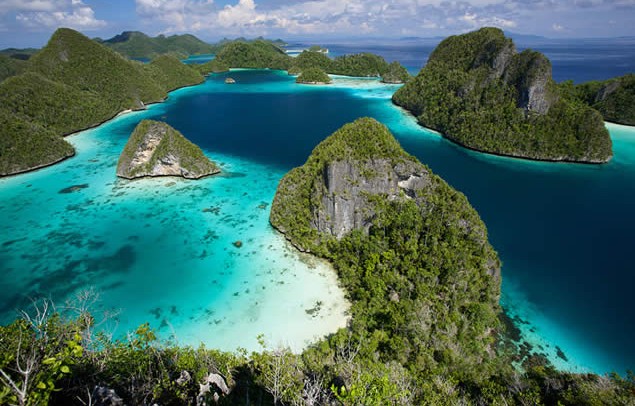 A Diversidade Biológica e Cultural das Ilhas - inspiração 1