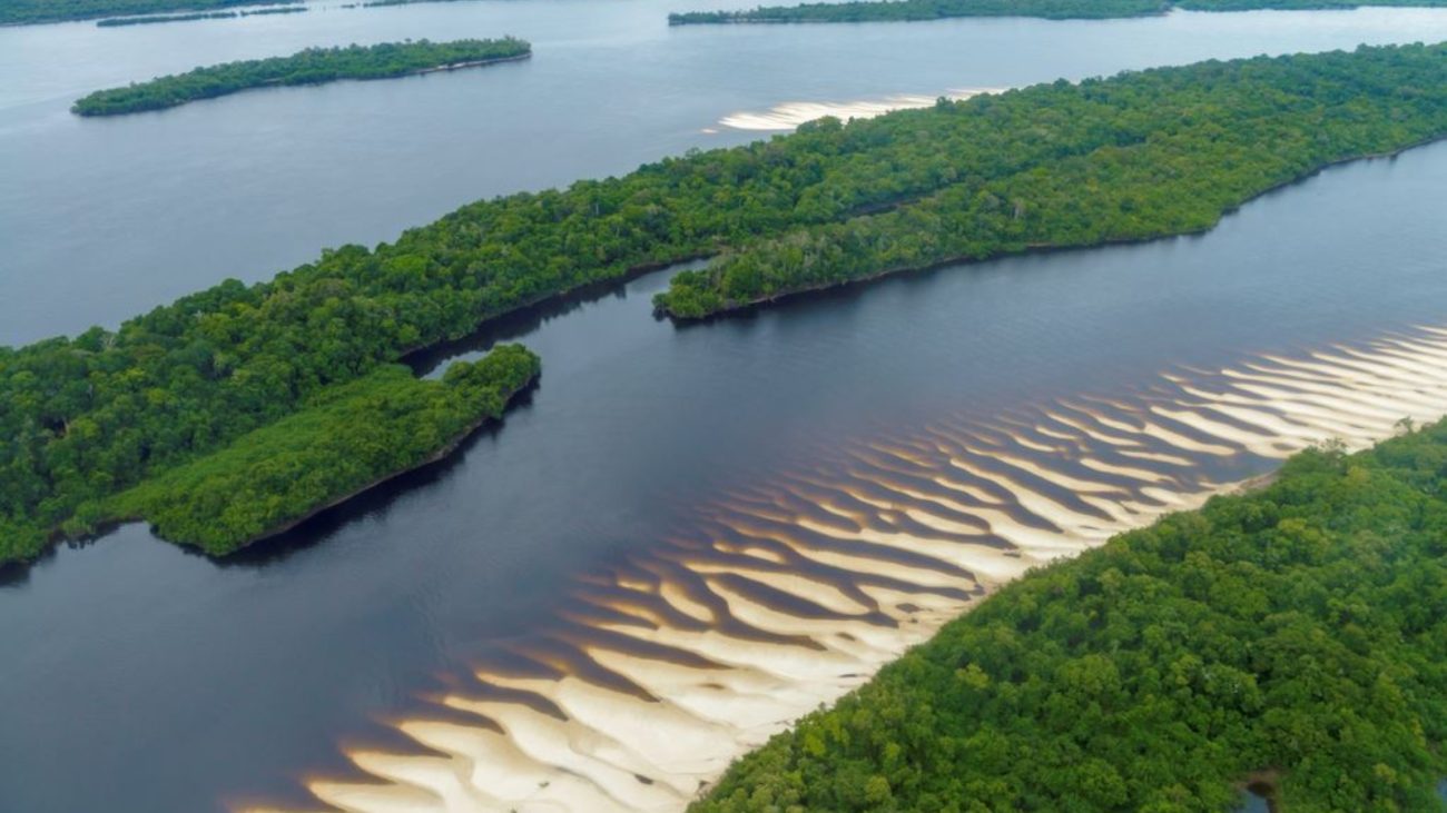 Importância Estratégica e Econômica - inspiração 1