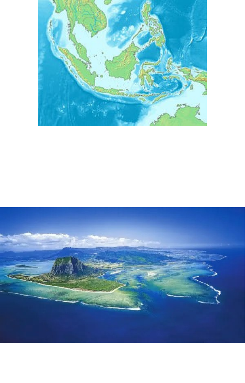 Os Desafios da Conservação em um Ambiente Volátil - inspiração 2