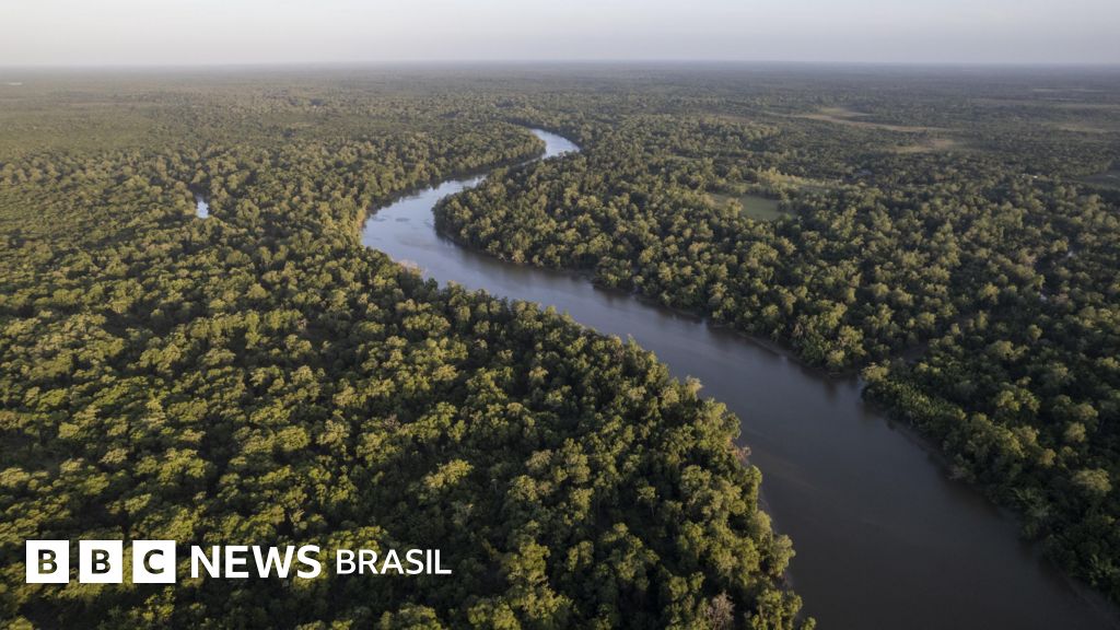 Qual Rio Leva o Título? Uma Conclusão Baseada em Evidências - inspiração 1