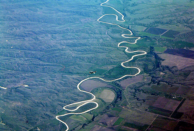 Dados e Estudos Recentes: O Que Dizem os Especialistas? - inspiração 2