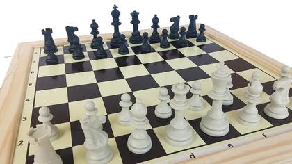 O Xadrez como Ferramenta de Aprendizagem para Todas as Idades - inspiração 1