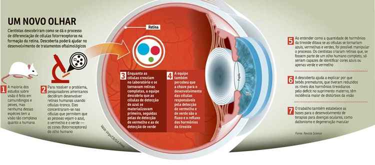 Milhões de Nuances: A Diferença Entre Tons e Saturações - inspiração 1