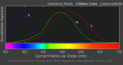 Visão em Cores em Diferentes Idades e Gêneros - inspiração 2