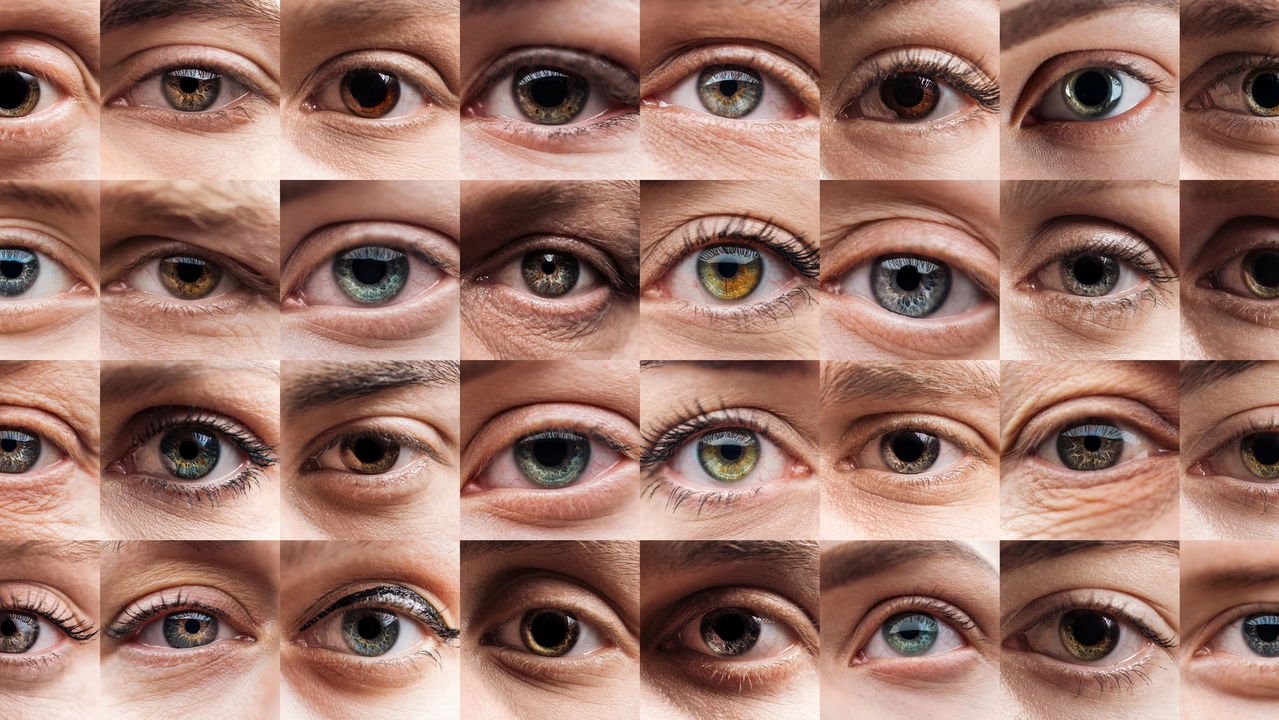 Daltonismo: Uma Perspectiva Diferente Sobre o Mundo das Cores - inspiração 1