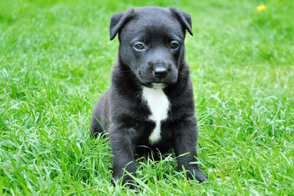 O que não fazer: Erros comuns que podem piorar a situação. - inspiração 2