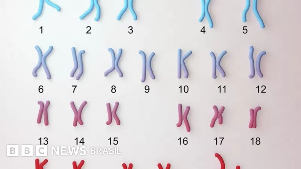 O que são exatamente os cromossomos? - inspiração 2