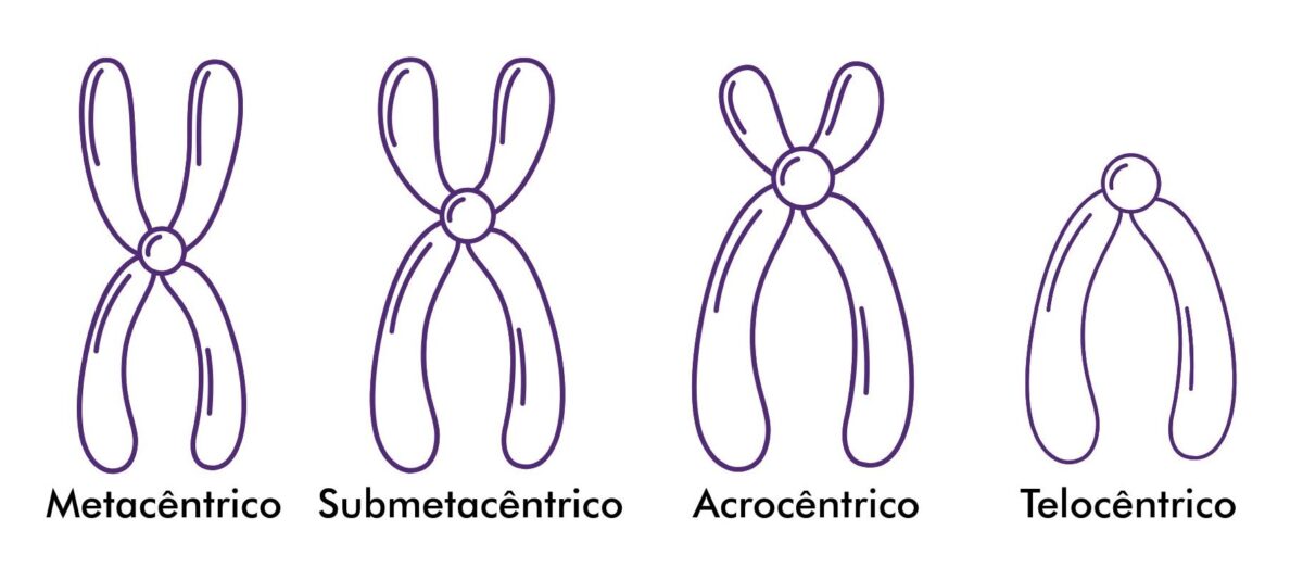 A ciência evolui: novas descobertas sobre o DNA humano - inspiração 1