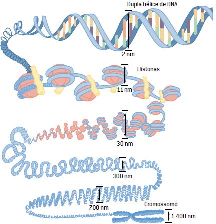 A ciência evolui: novas descobertas sobre o DNA humano - inspiração 2