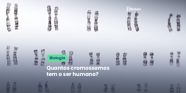 Como os cromossomos determinam nossas características? - inspiração 2