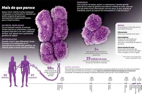 Síndrome de Down: um exemplo comum de variação cromossômica - inspiração 2
