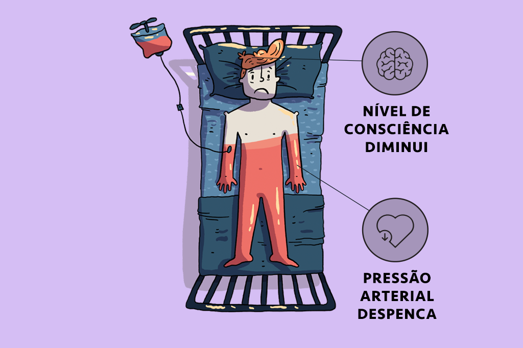 Fatores Que Influenciam Seu Volume Sanguíneo - inspiração 1